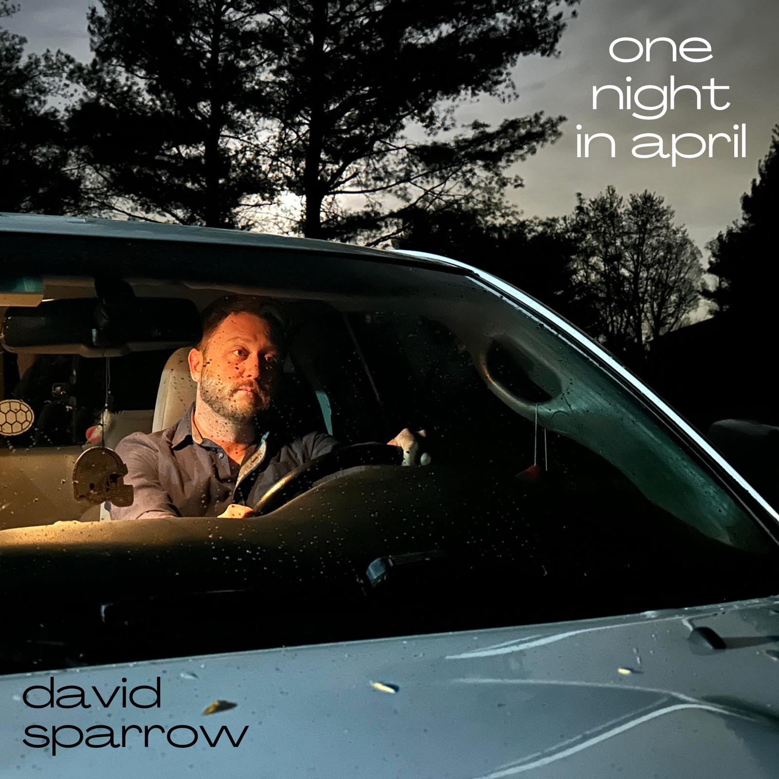 One Night in April cover artwork